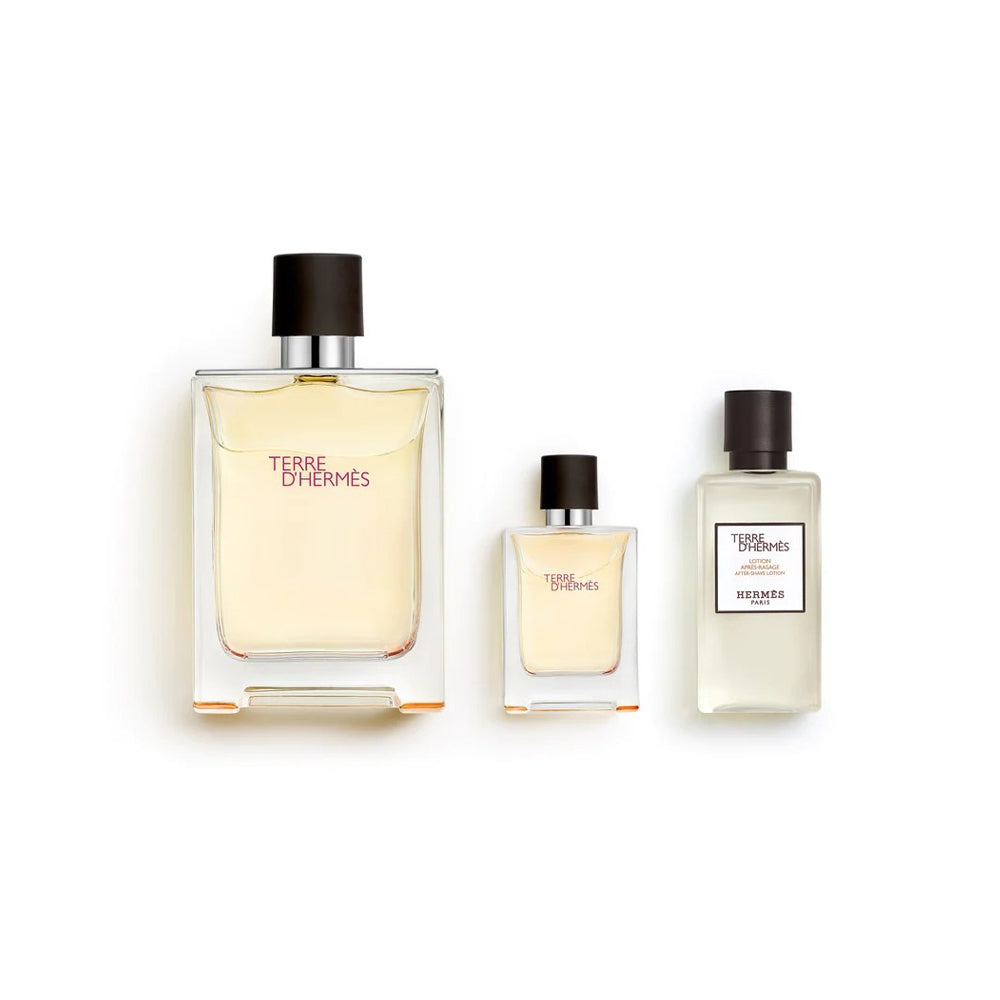 Terre d'Hermes Cofanetto regalo con lozione dopobarba_3346130422822_Hermés-2