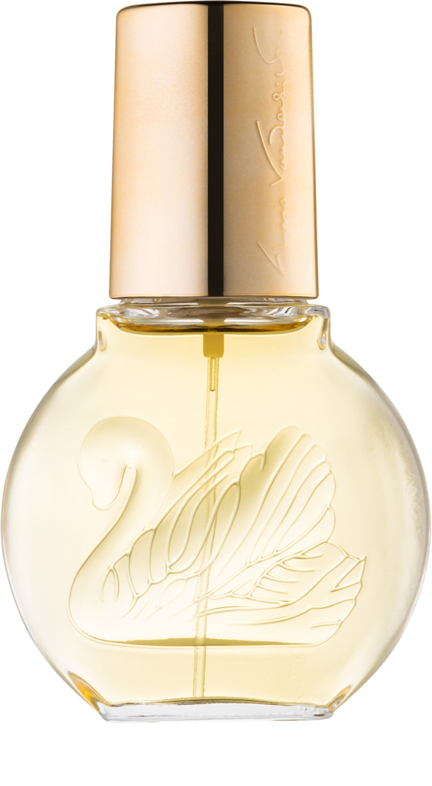 Venderbilt Eau de toilette_3357554700014_Gloria Vanderbilt-3