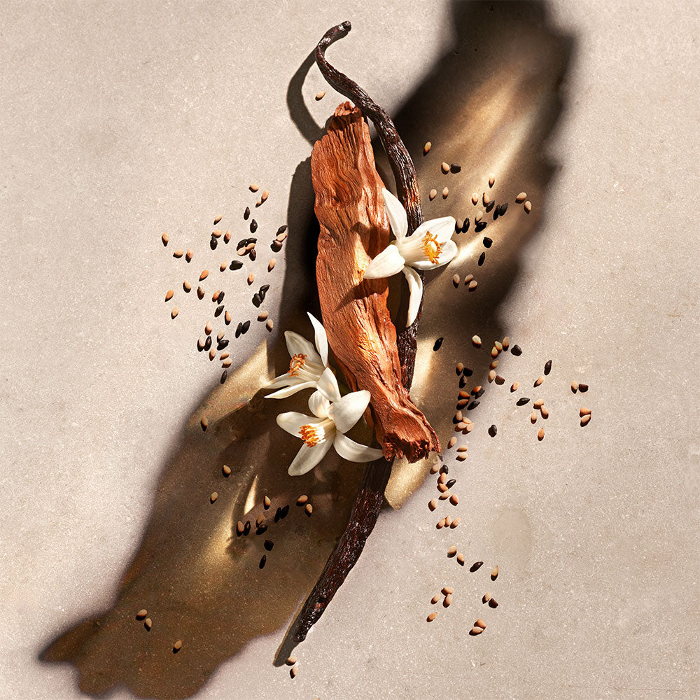 Zadig Eau de Parfum Ricarica_3423222119126_Zadig & Voltaire-2