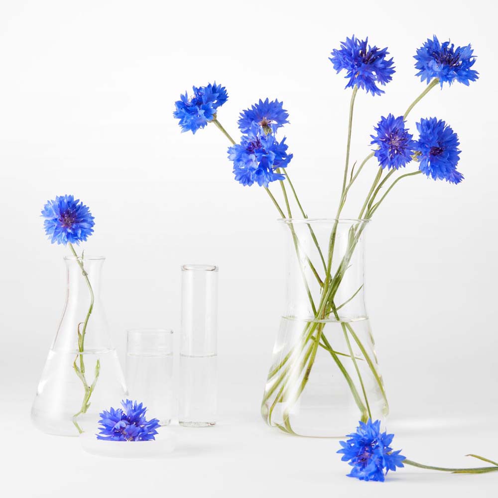 Acqua micellare fiordaliso lenitivo_3600542215299_Garnier-5