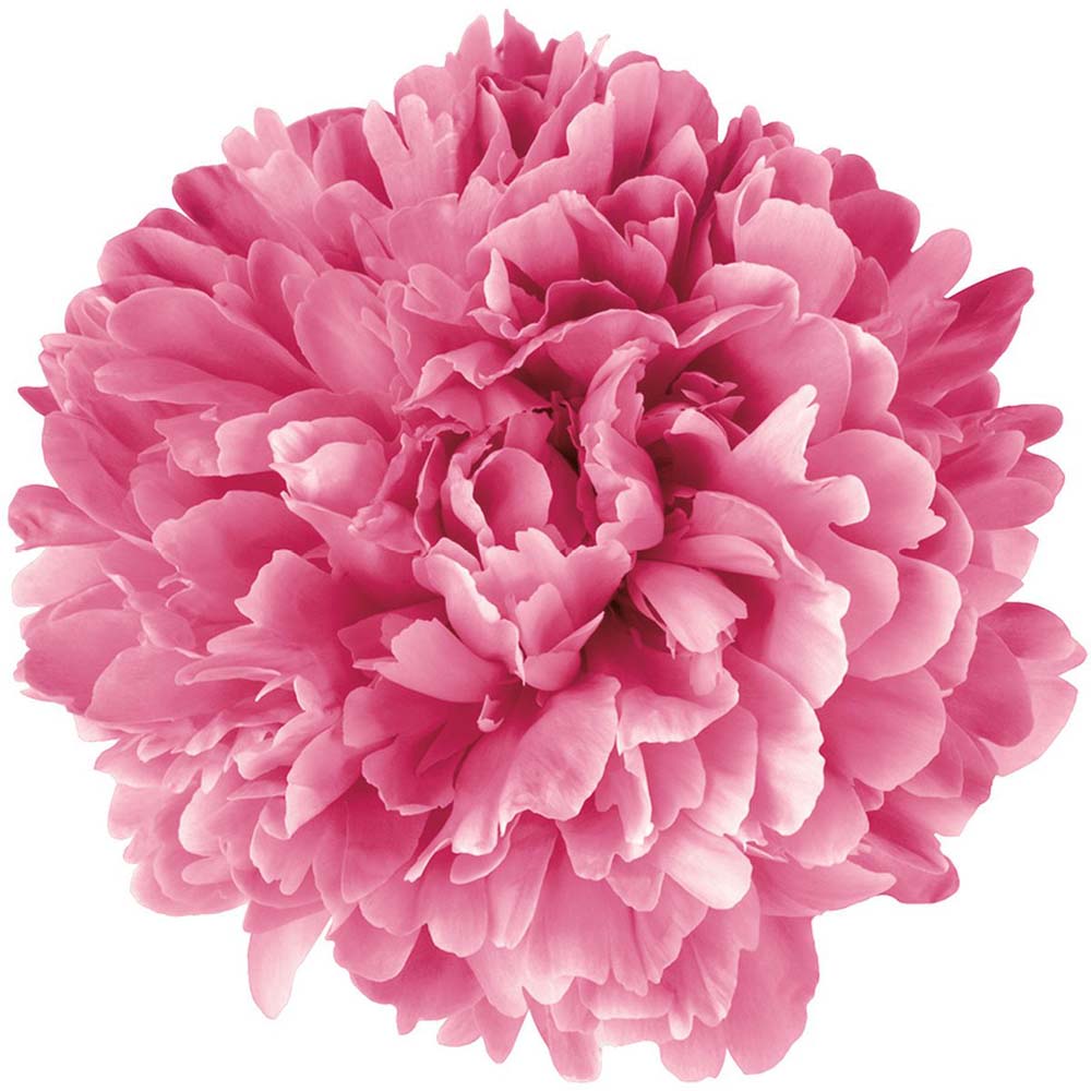 Age Perfect Golden Age Occhi_3600523718641_L'Oréal-5