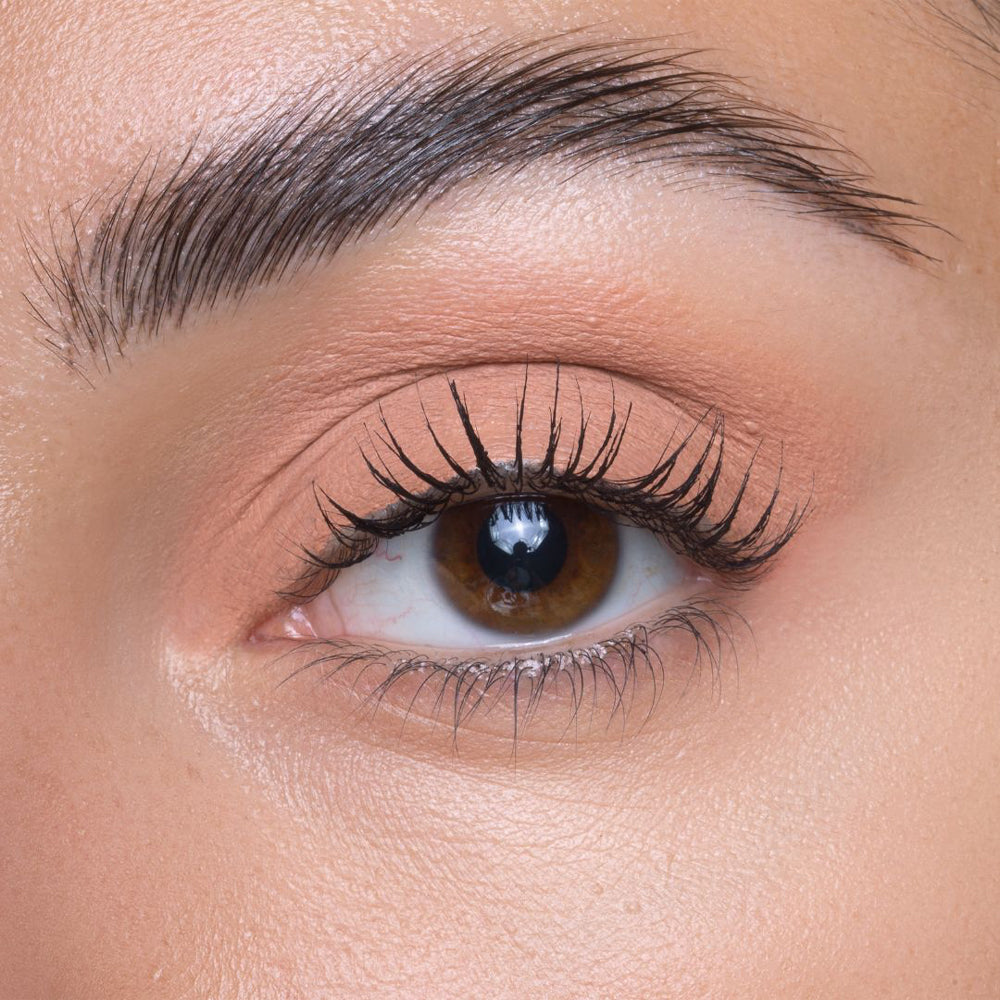 Base & Eyeshadow Base e ombretto_8017834892369_Diego Dalla Palma-4