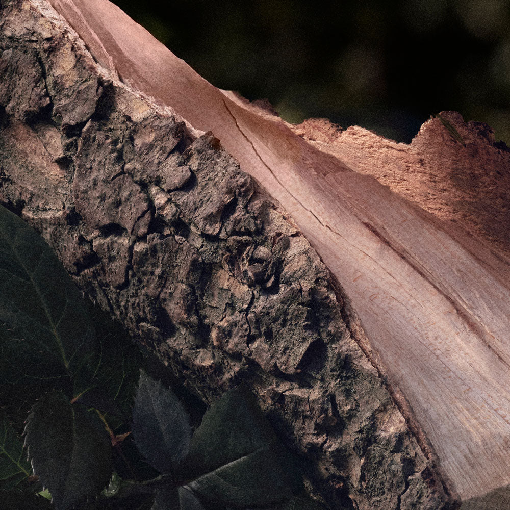 Chloé Rose Naturelle Eau de parfum Ricaricabile_3616302038367_Chloé-4