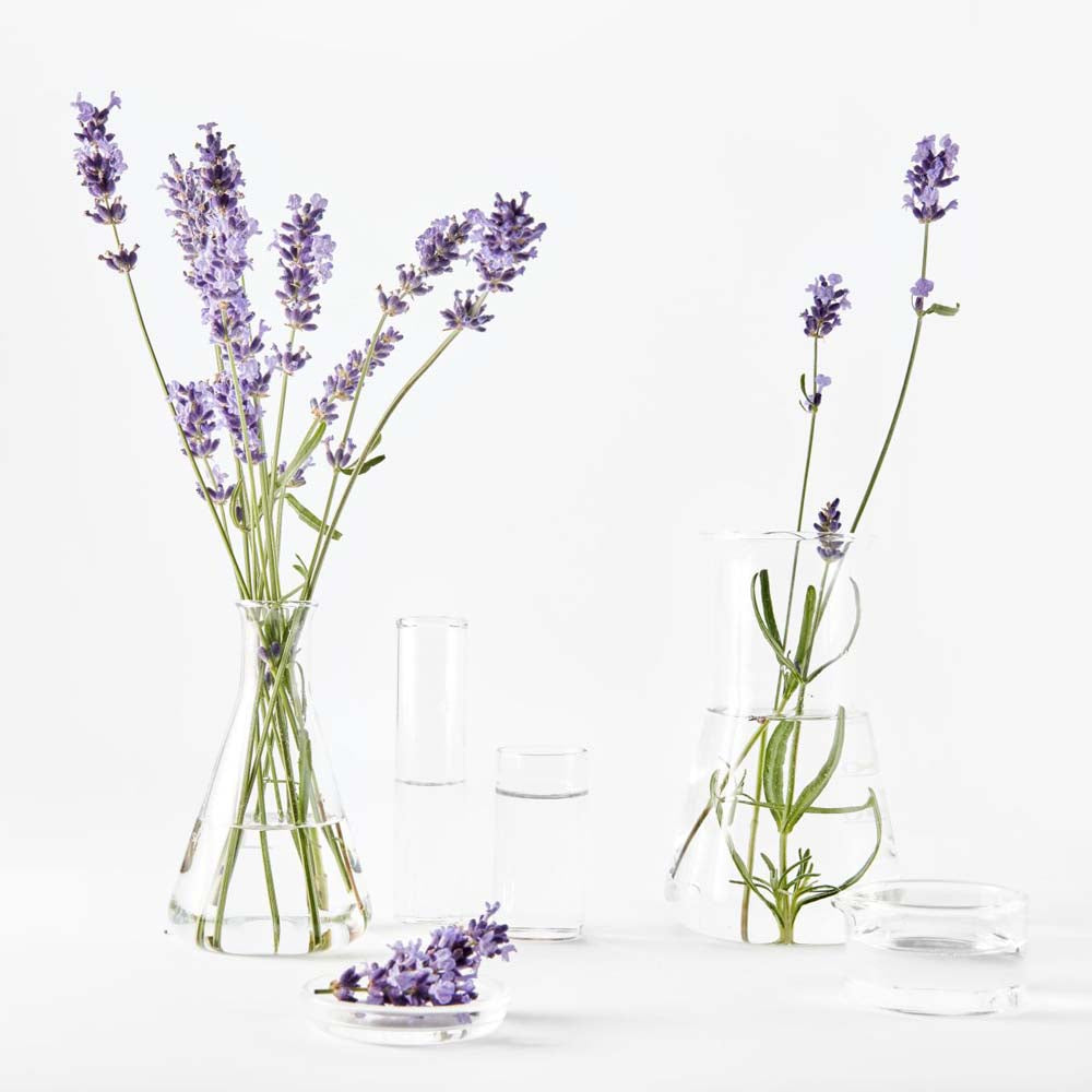 Contorno occhi anti-età lavanda rigenerante_3600542196789_Garnier-5