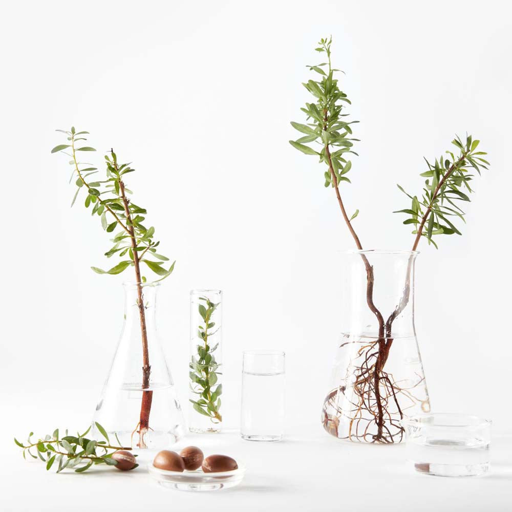 Crema idratante riparatrice: viso corpo e mani argan nutriente_3600542196772_Garnier-5