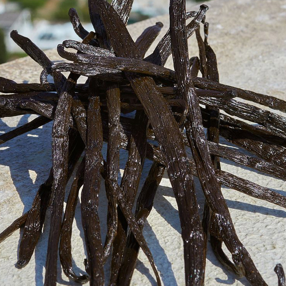 Devotion Eau de parfum Ricarica_8057971188352_Dolce & Gabbana-6