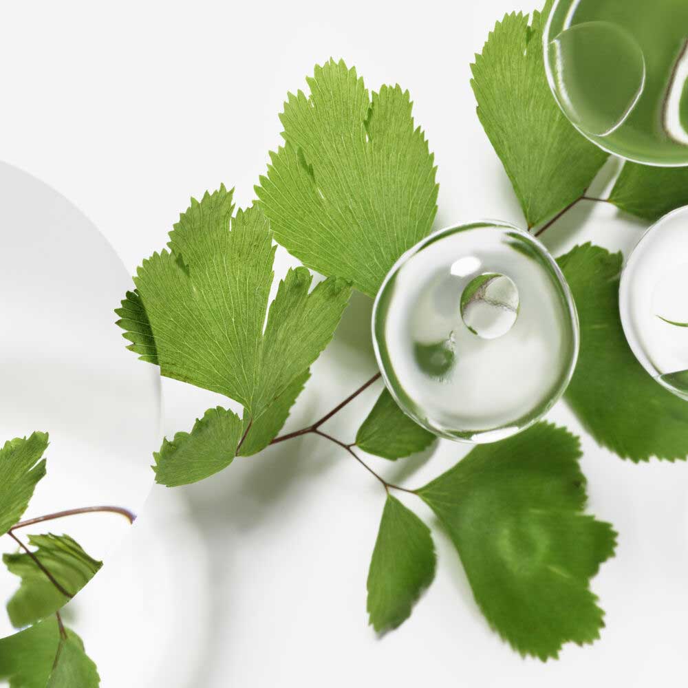 Emulsion Ecologique Formule Avancee_3473311142009_Sisley-5