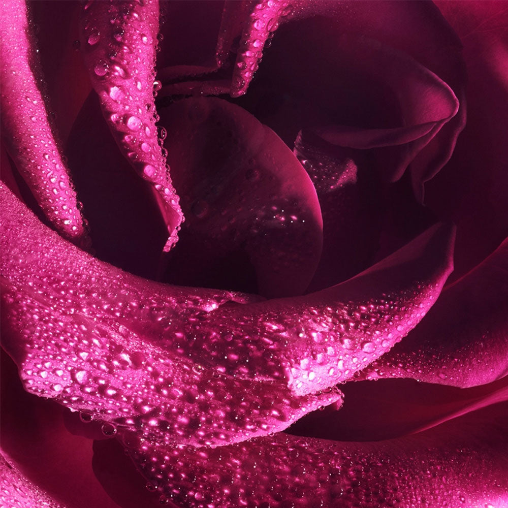 Flowerbomb Extreme Eau de Parfum Intense_3614273987936_Viktor & Rolf-10