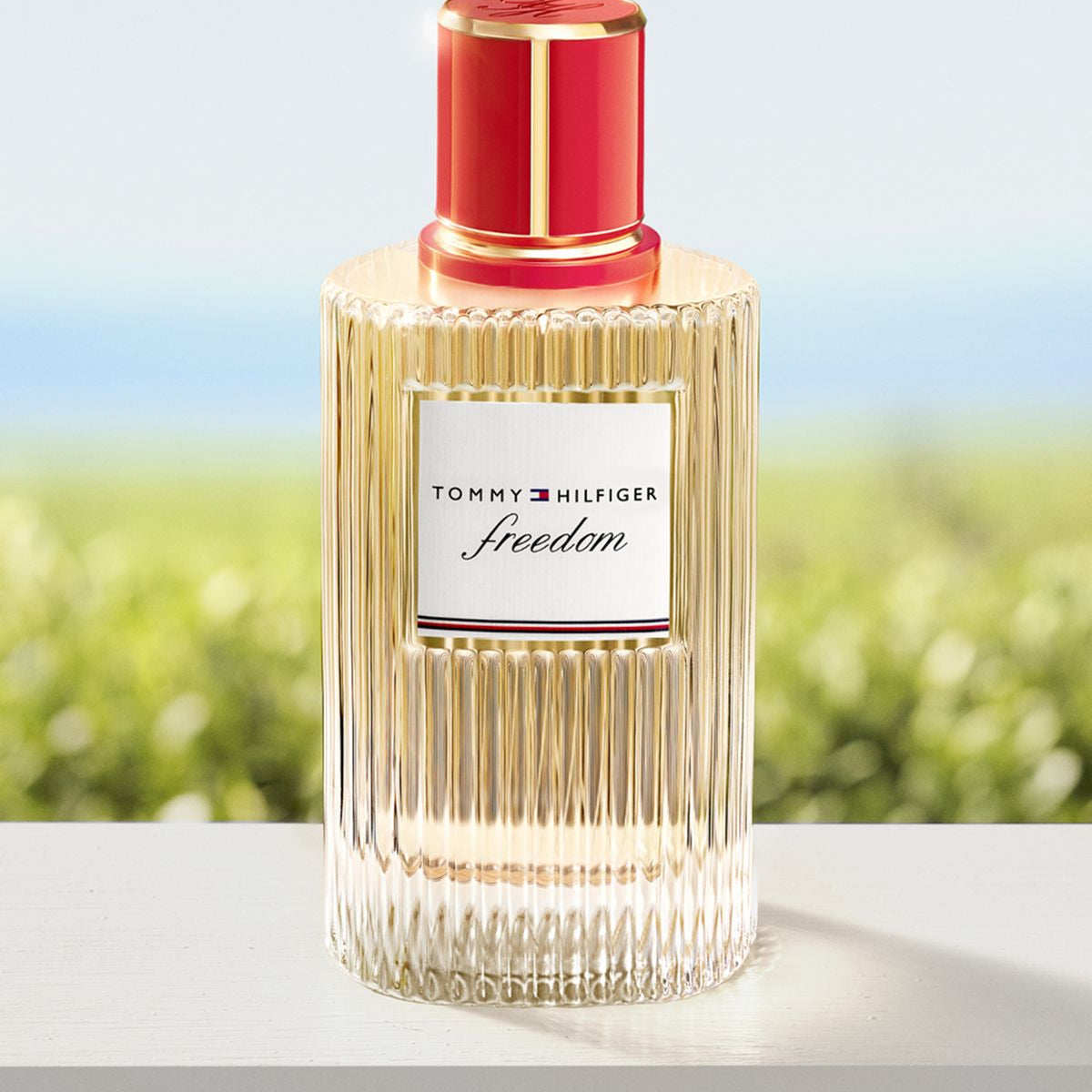 Freedom Eau de Parfum_7640496671143_Tommy Hilfiger-4
