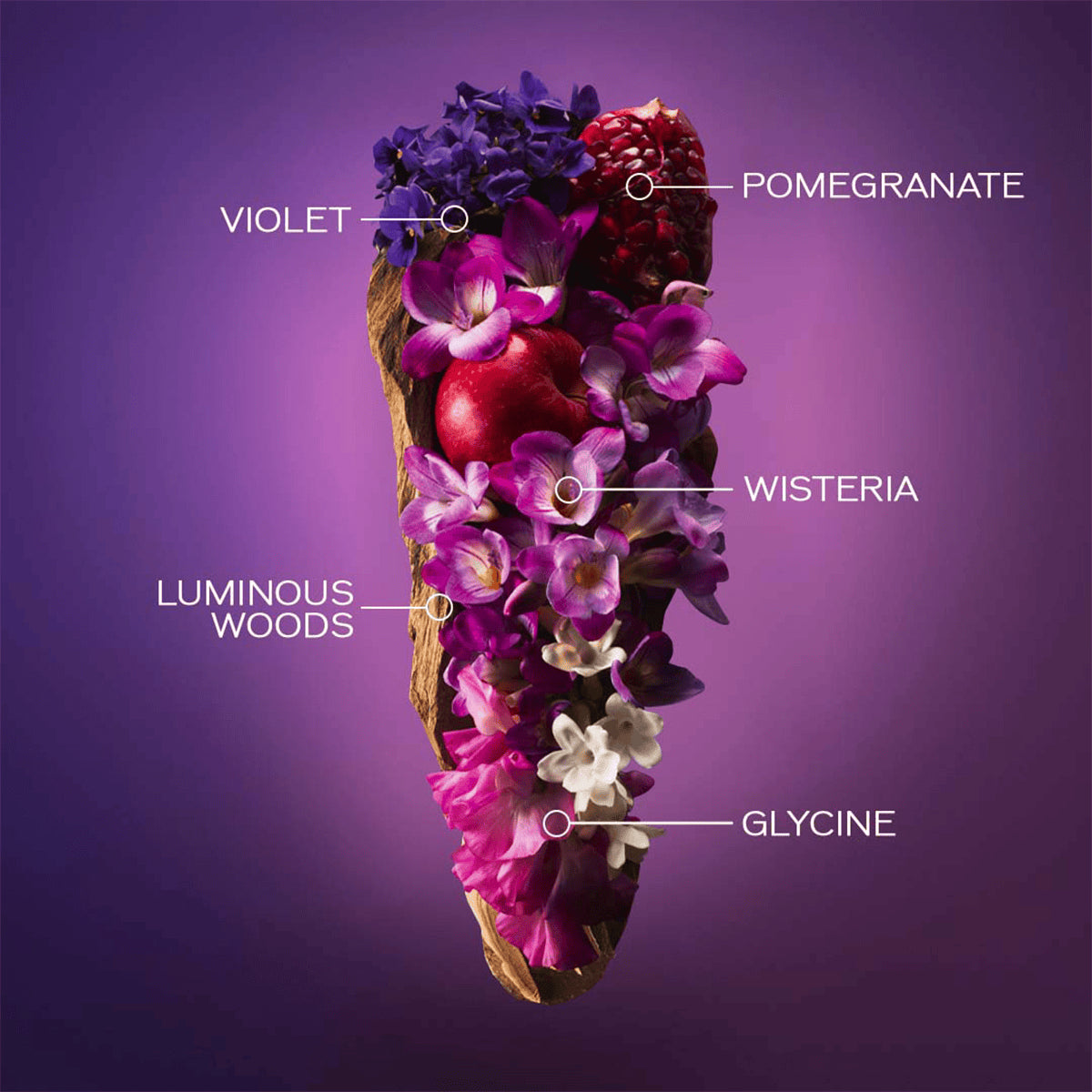 Ginza Murasaki Eau de parfum_768614184867_Shiseido-6