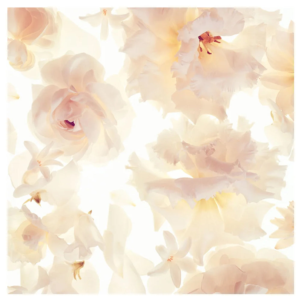 Gorgeous Eau de parfum_022548420003_Michael Kors-6