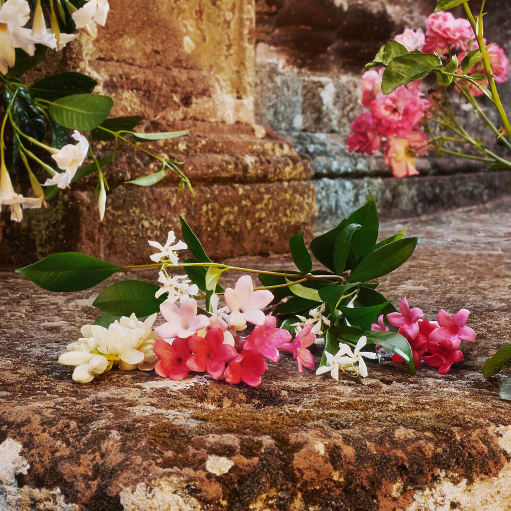 Gucci Bloom Eau de toilette_3616302514281_Gucci-4