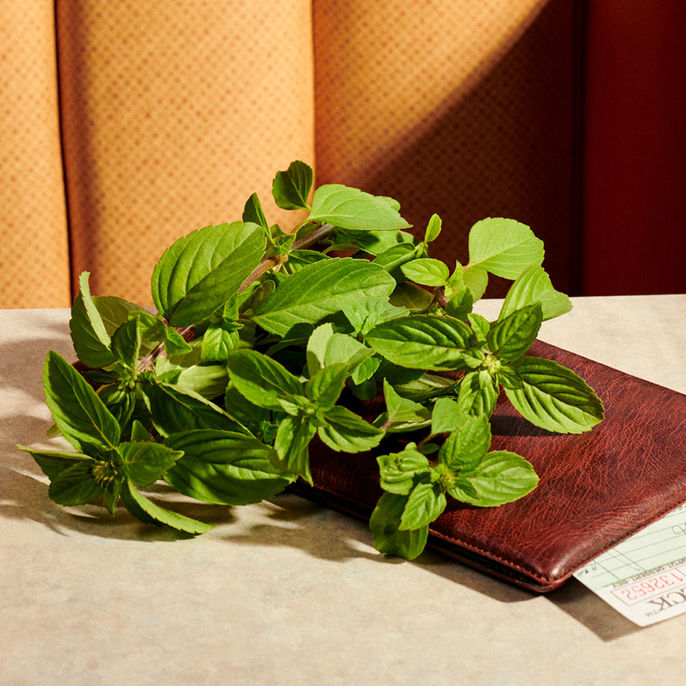 Guilty Eau de parfum Intense Pour Femme_3616301794653_Gucci-7