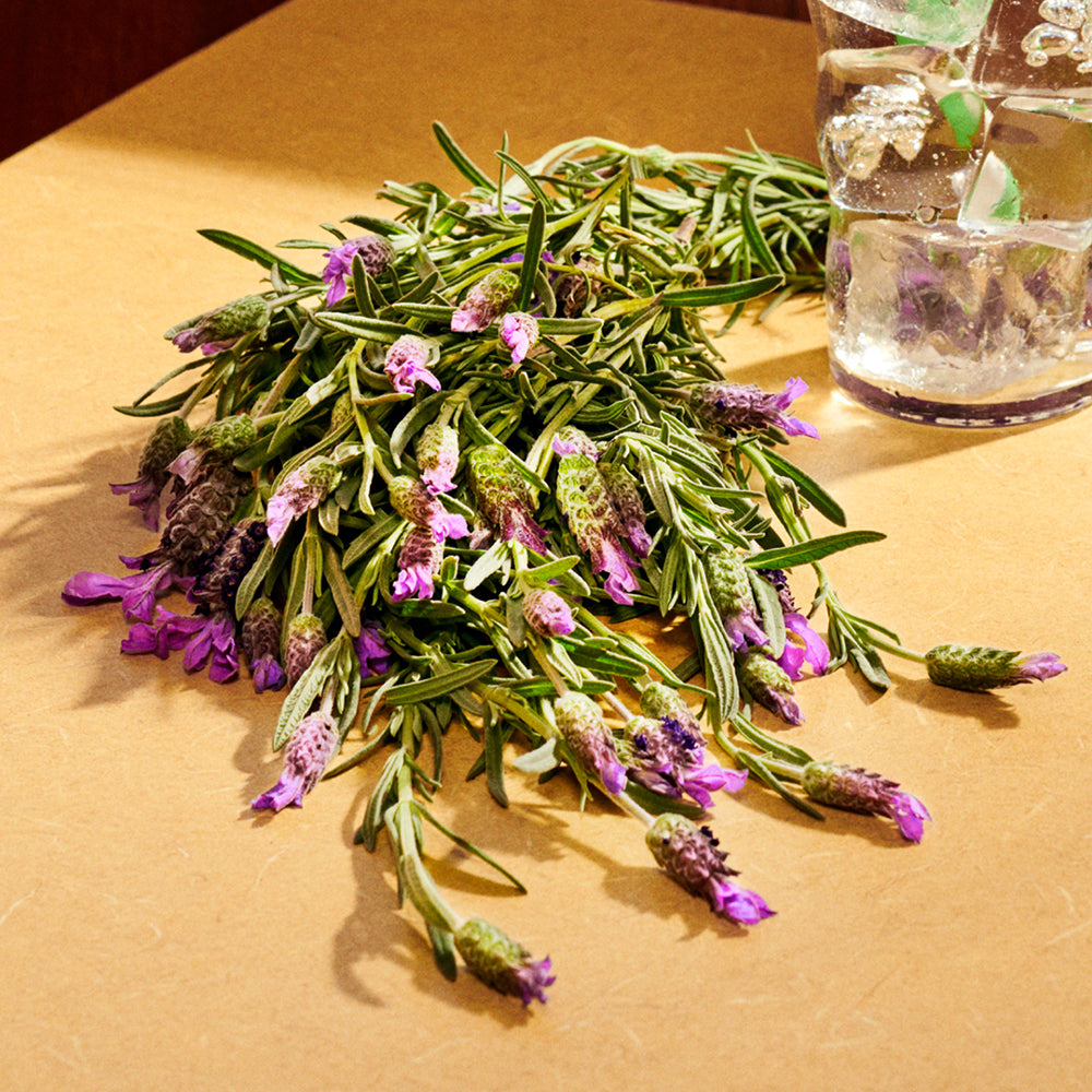 Guilty Parfum Pour Homme_3616301794608_Gucci-5