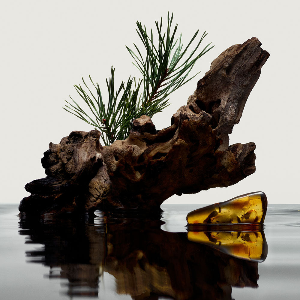 Hero Eau de parfum_3614228838016_Burberry-5