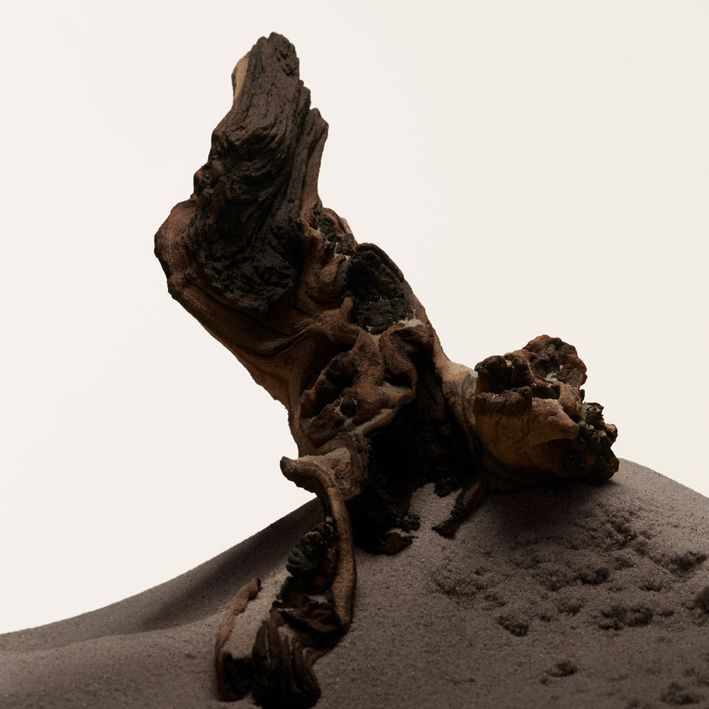 Hero Eau de toilette_3614229820782_Burberry-4