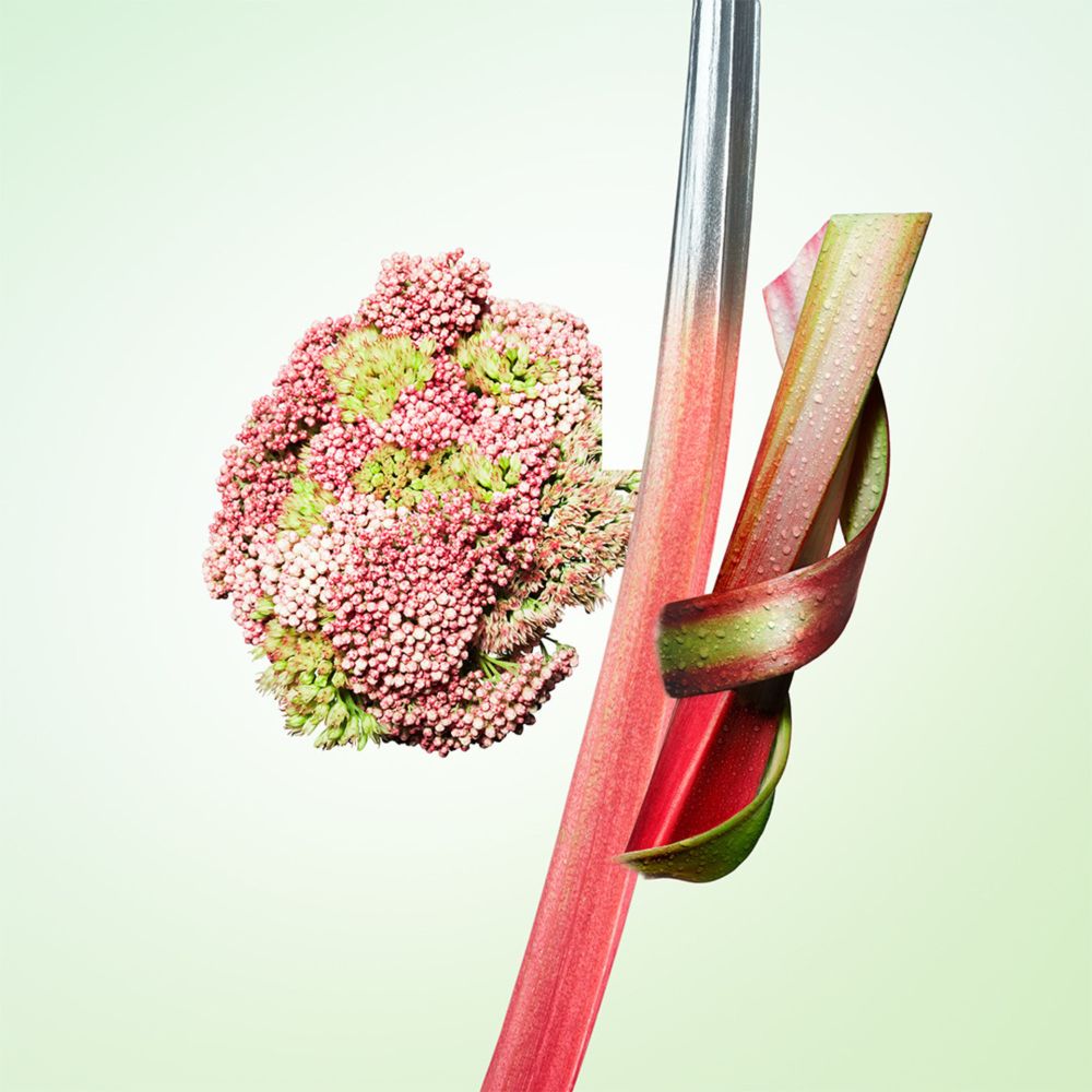 Infusion de Rhubarbe Eau de Parfum_3614274163421_Prada-3