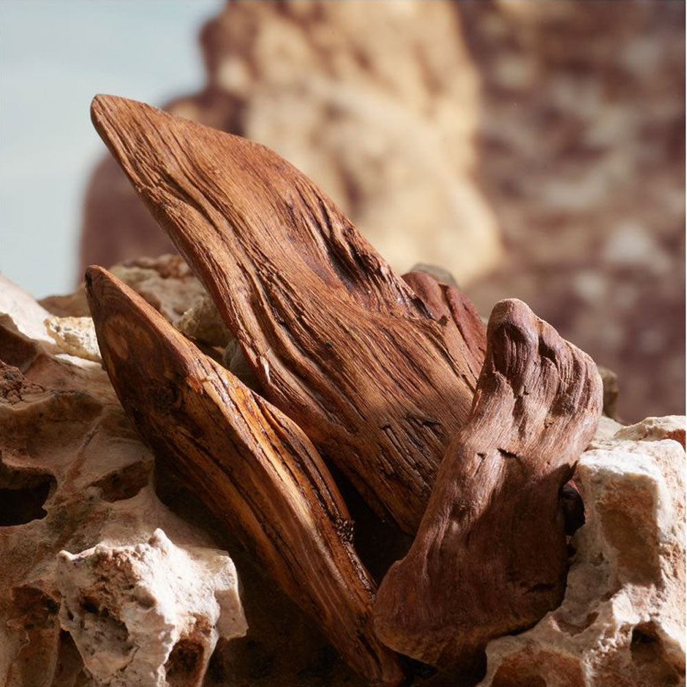 K by Dolce & Gabbana Parfum_8054754405095_Dolce & Gabbana-6