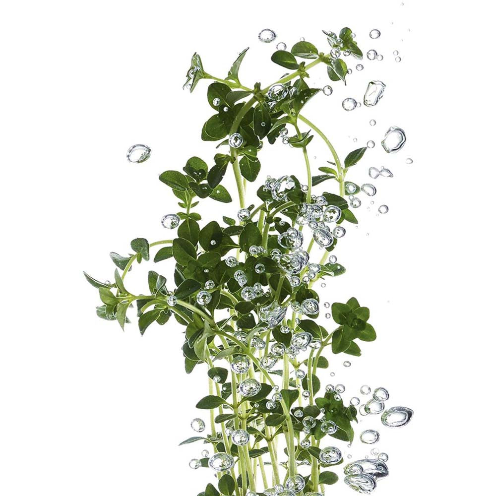 Konjac Spugna detergente esfoliante_3600542184625_Garnier-5