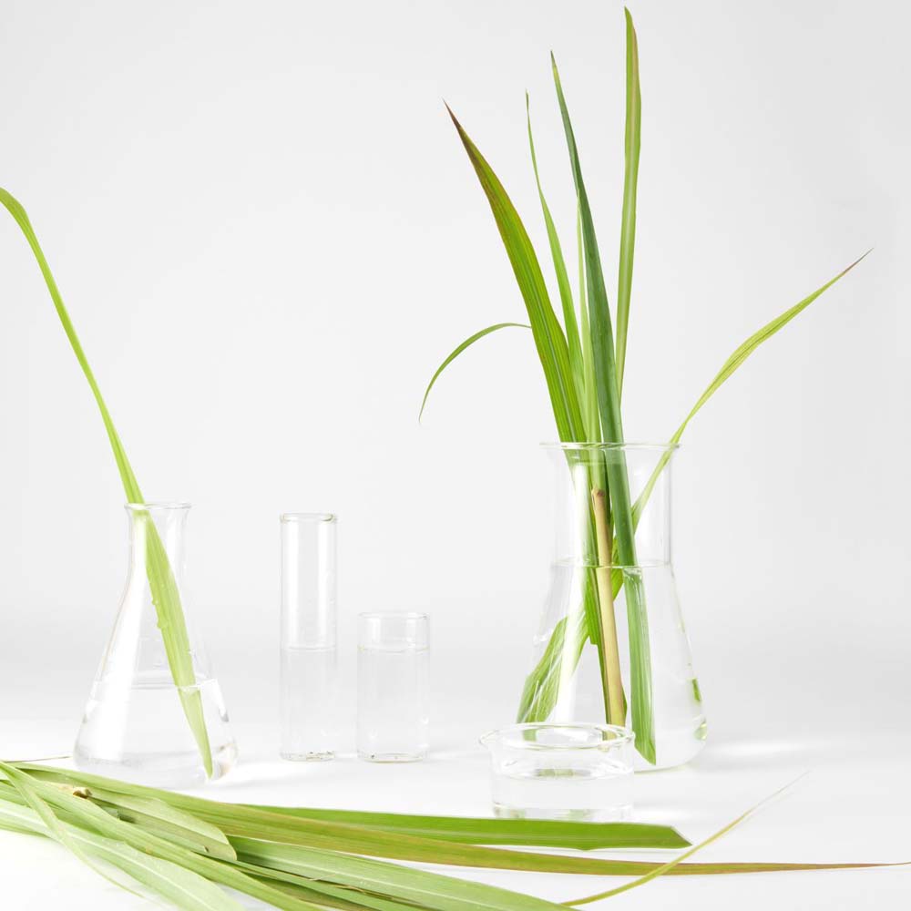 Lemongrass Gel detergente detox_3600542196819_Garnier-6