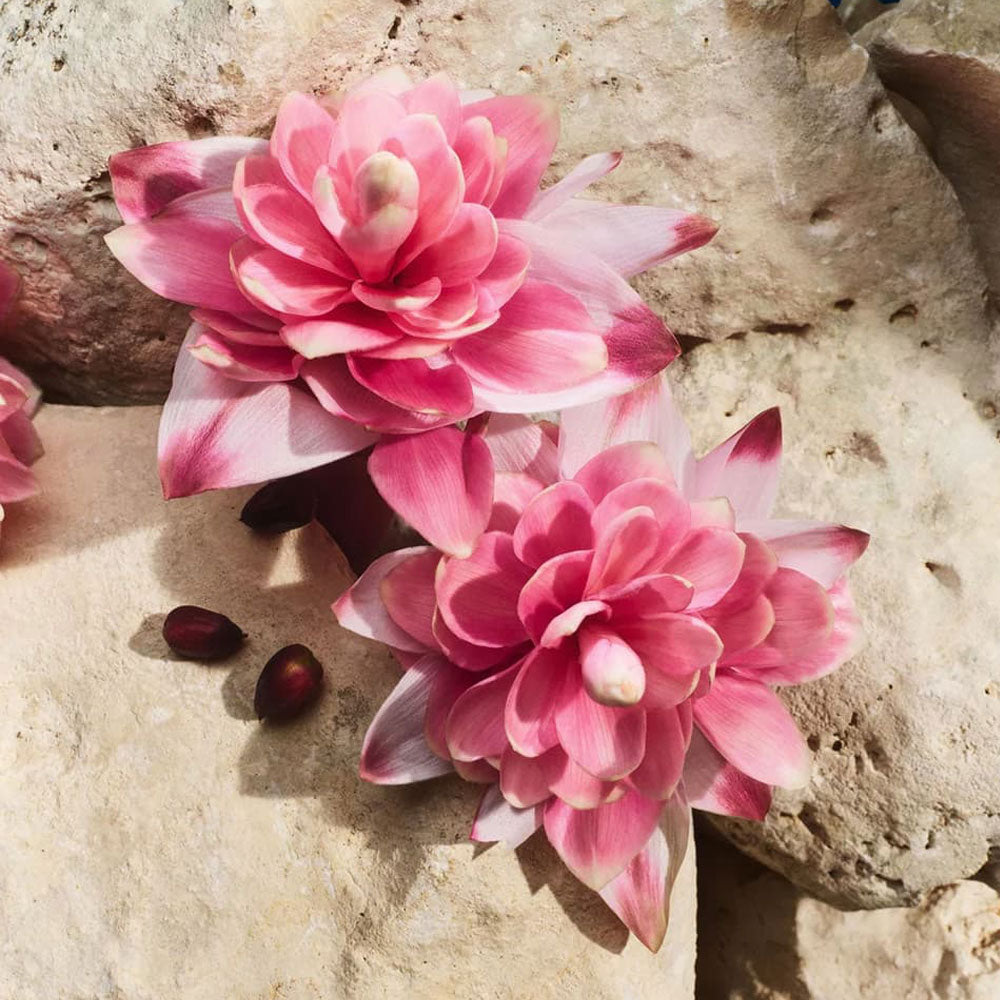 Light Blue Capri In Love Pour Femme Eau de Parfum_8054754407242_Dolce & Gabbana-6