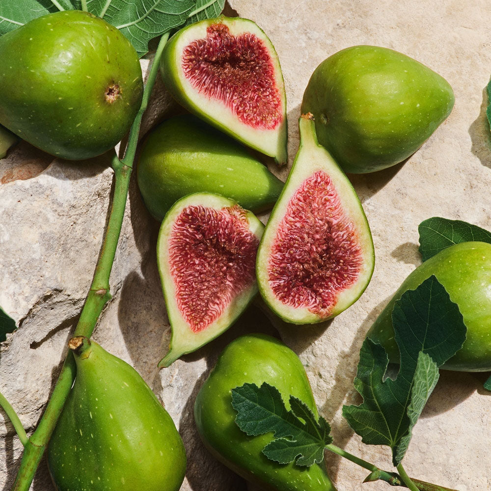 Light Blue Capri in Love Pour Homme Eau de Parfum_8054754407280_Dolce & Gabbana-4