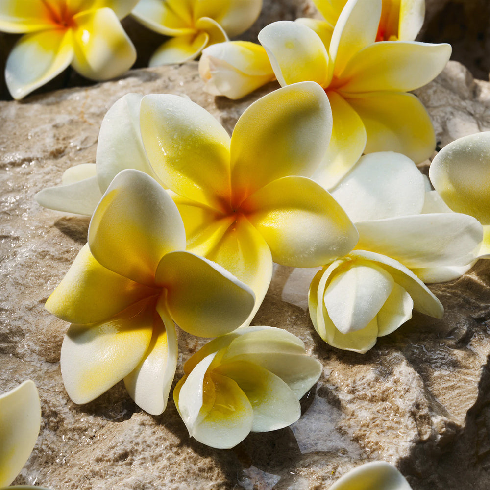 Light Blue Eau de Parfum_8056669925767_Dolce & Gabbana-5