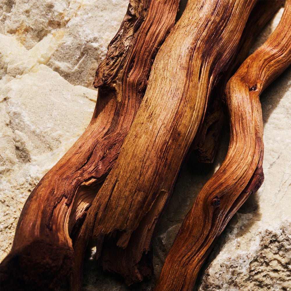 Light Blue Eau de Parfum_8056669925781_Dolce & Gabbana-6