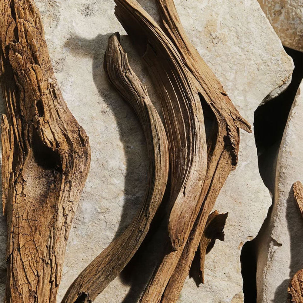 Light Blue Pour Femme Eau de Toilette Ricaricabile_8057971188178_Dolce & Gabbana-7