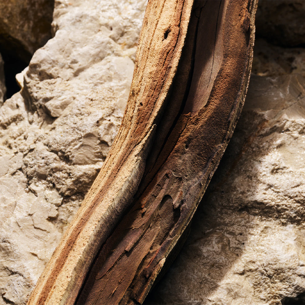 Light Blue Pour Homme Eau de Parfum_8056669925712_Dolce & Gabbana-6