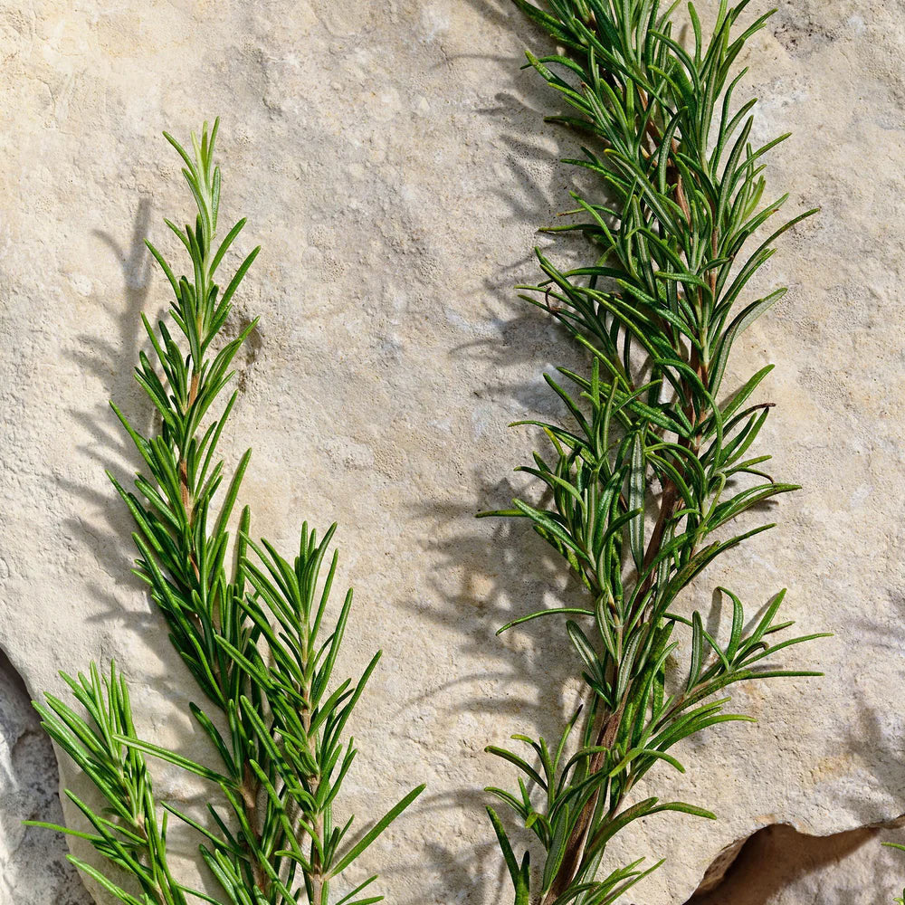 Light Blue Pour Homme Eau de Toilette_8057971188109_Dolce & Gabbana-6