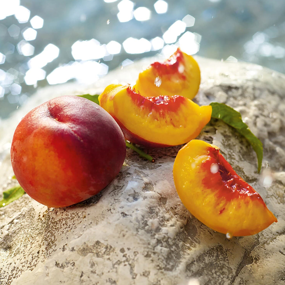 Light Blue Summer Vibes Eau de toilette_8057971183494_Dolce & Gabbana-5