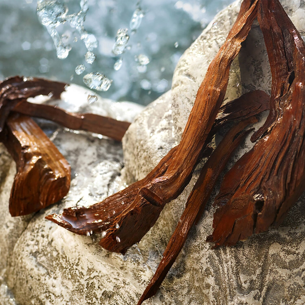 Light Blue Summer Vibes Eau de toilette_8057971183494_Dolce & Gabbana-6