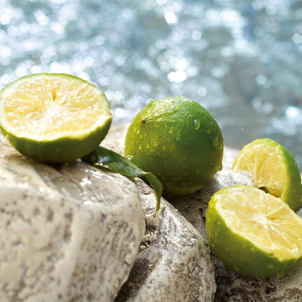 Light Blue Summer Vibes Eau de toilette_8057971183500_Dolce & Gabbana-4