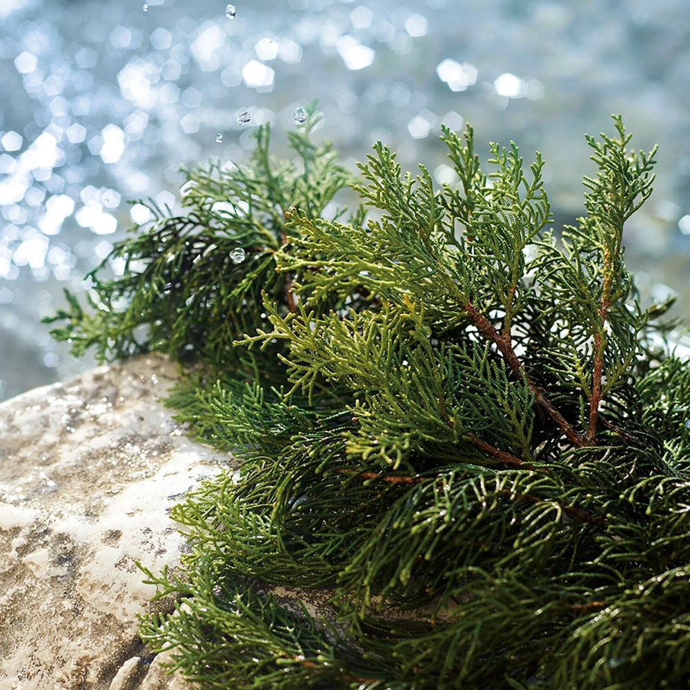 Light Blue Summer Vibes Pour Homme Eau de toilette_8057971183562_Dolce & Gabbana-4