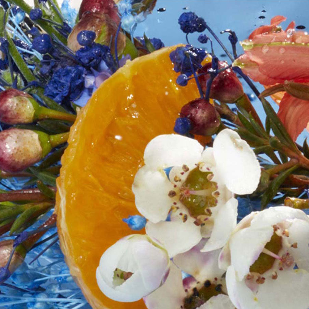 Lou Lou Eau de parfum_3360373000081_Cacharel-3