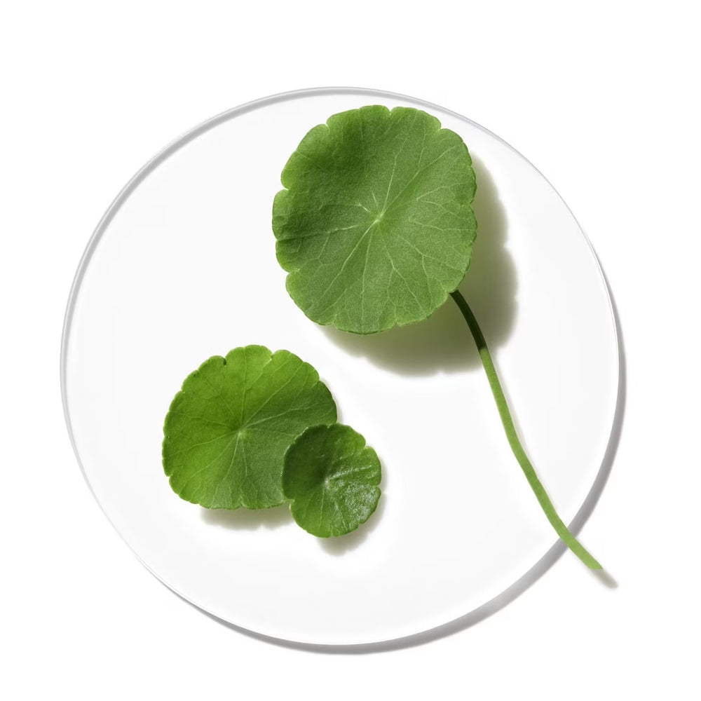 Moisture Surge Intense - Idratazione Intensa Per Pelle Arida (Tipo I - II)_020714492212_Clinique-5