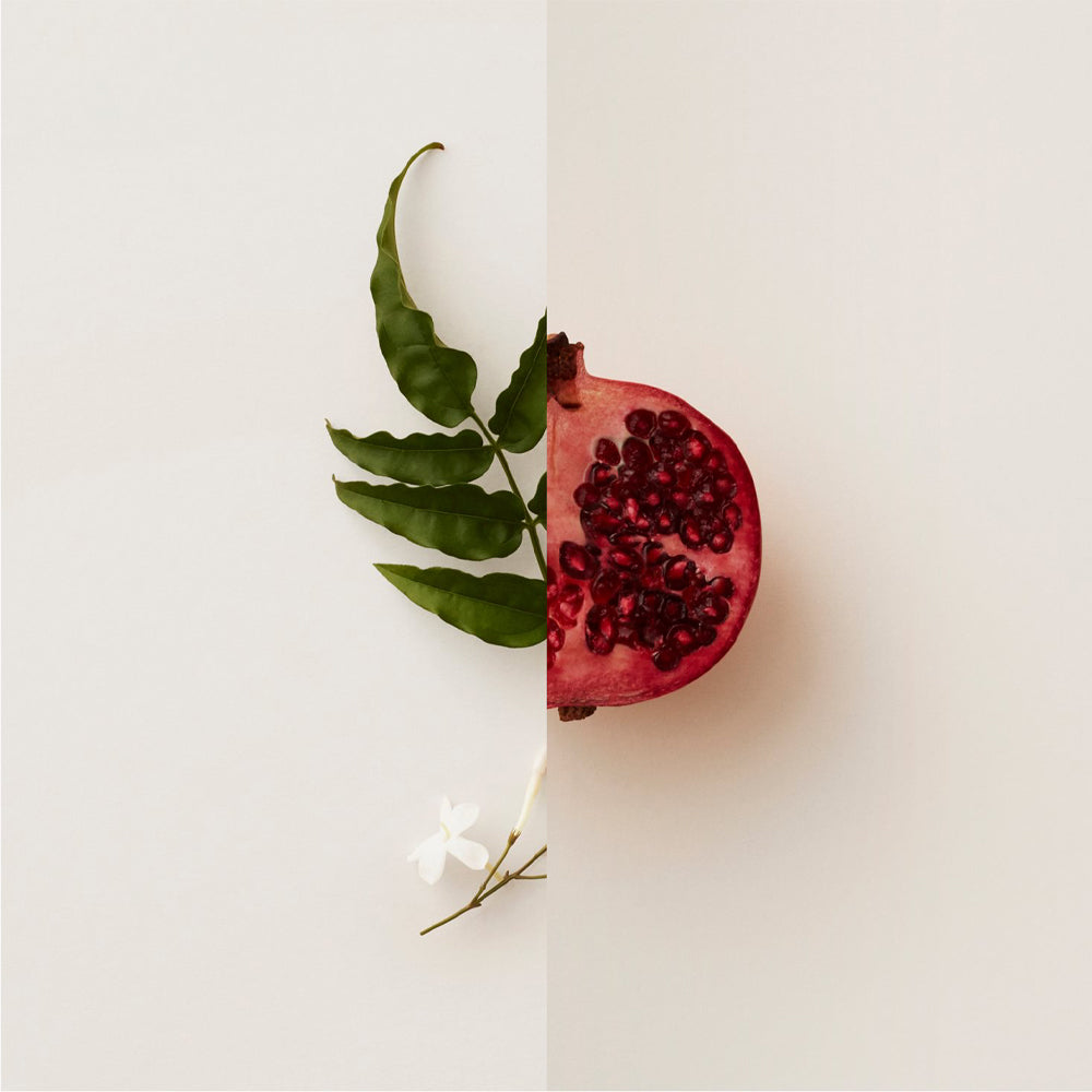 My Burberry Blush Edp_5045498902158_Burberry-5