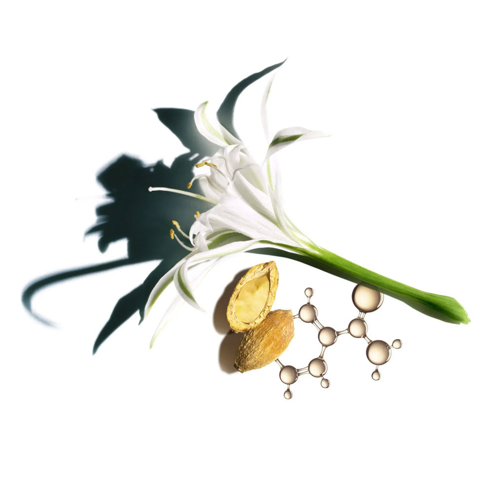 Nutri-Lumiere SPF15 Brightening Complex_3666057213977_Clarins-3