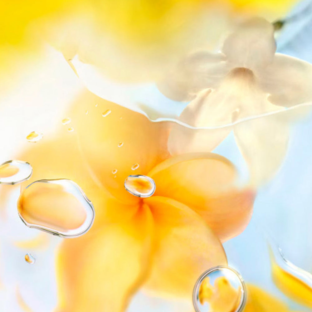 Ô Zenith Eau de Toilette_3614274380392_Lancome-6