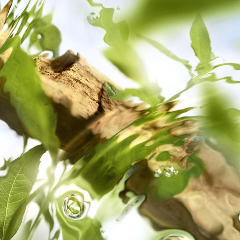 Ôff Now Eau de Toilette_3614274380415_Lancome-4