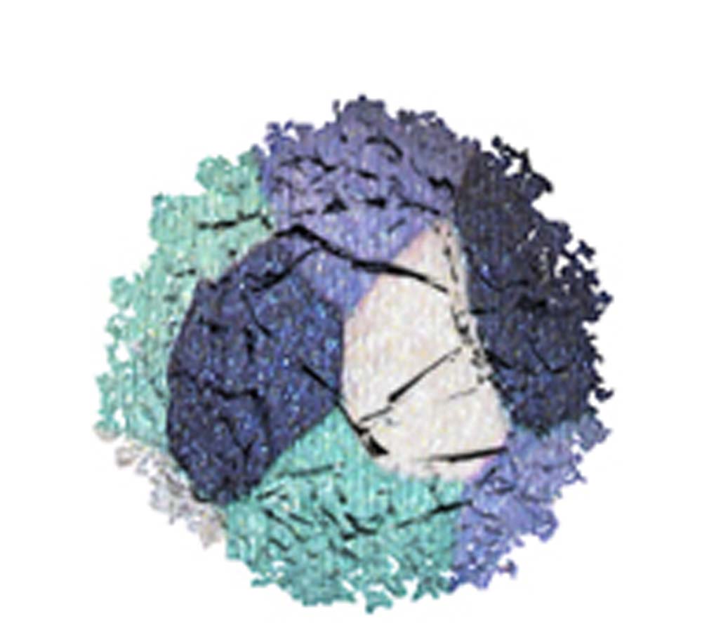 Ombretto Doppio Effetto Wet&Dry_8015150154277_Collistar