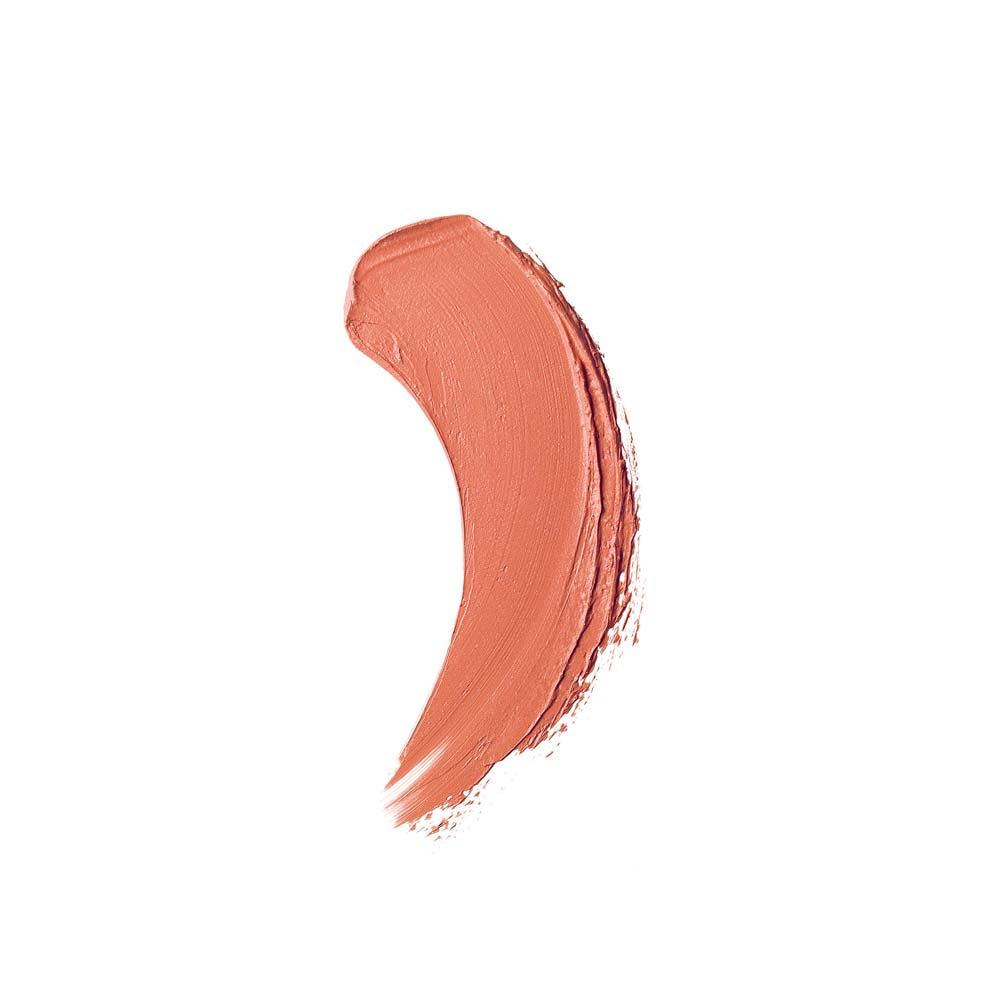 Pure Color Envy Matte Lipstick_887167341791_Estée Lauder-2