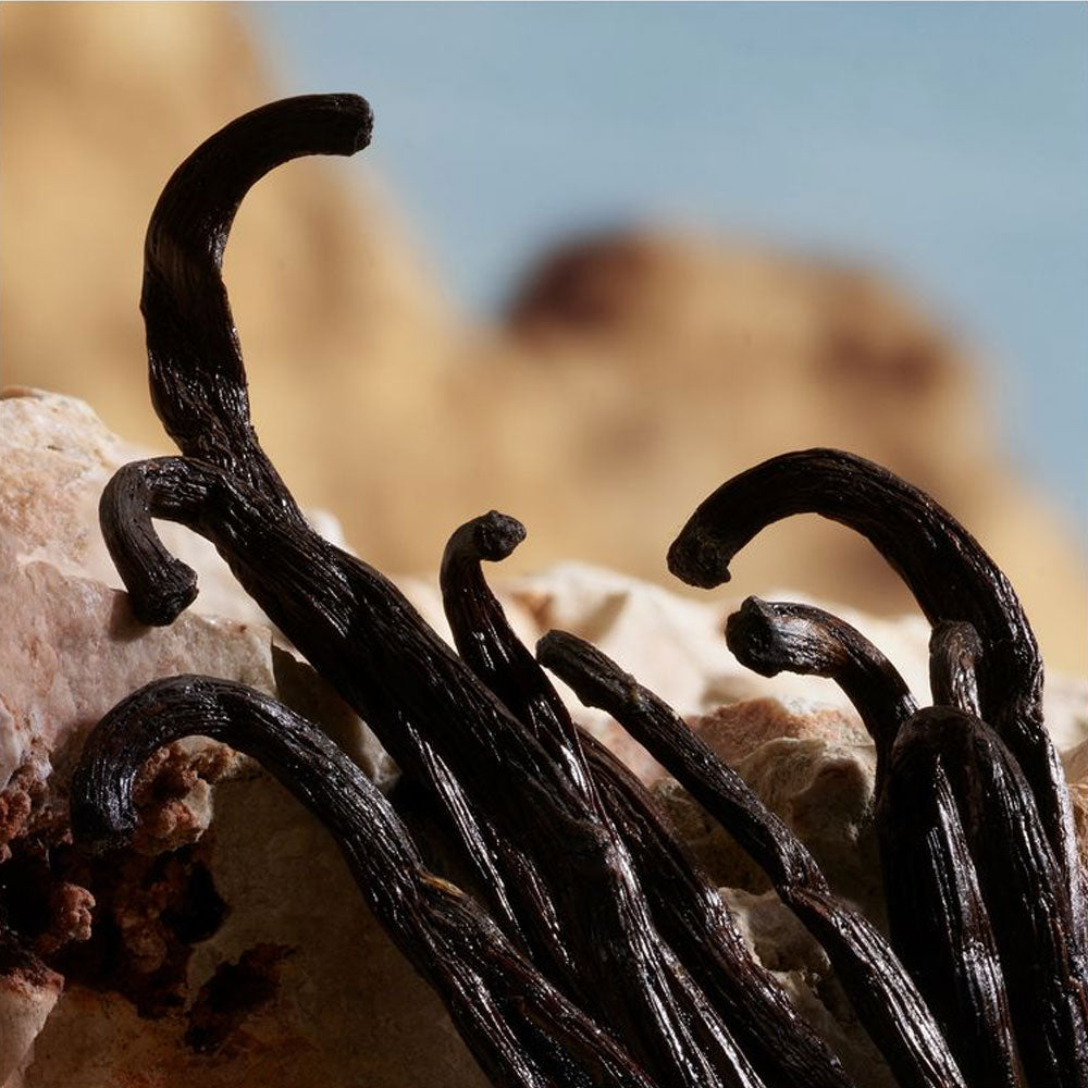 Q by Dolce & Gabbana Parfum_8054754405040_Dolce & Gabbana-6