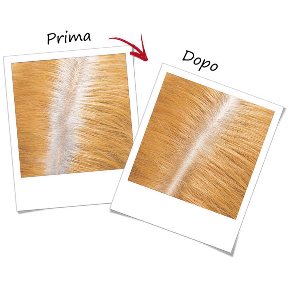 Ritocco Perfetto Spray instantaneo_3600523387991_L'Oréal-3