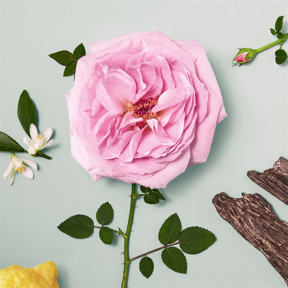 Signature Naturelle Eau de parfum_3614228842822_Chloé-4