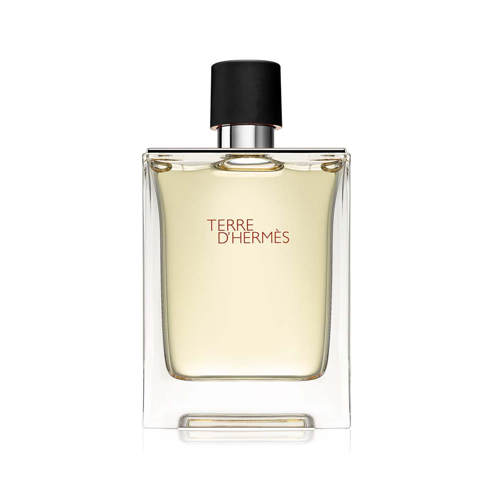 Terre d'Hermes Eau de toilette_3346131402007_Hermés