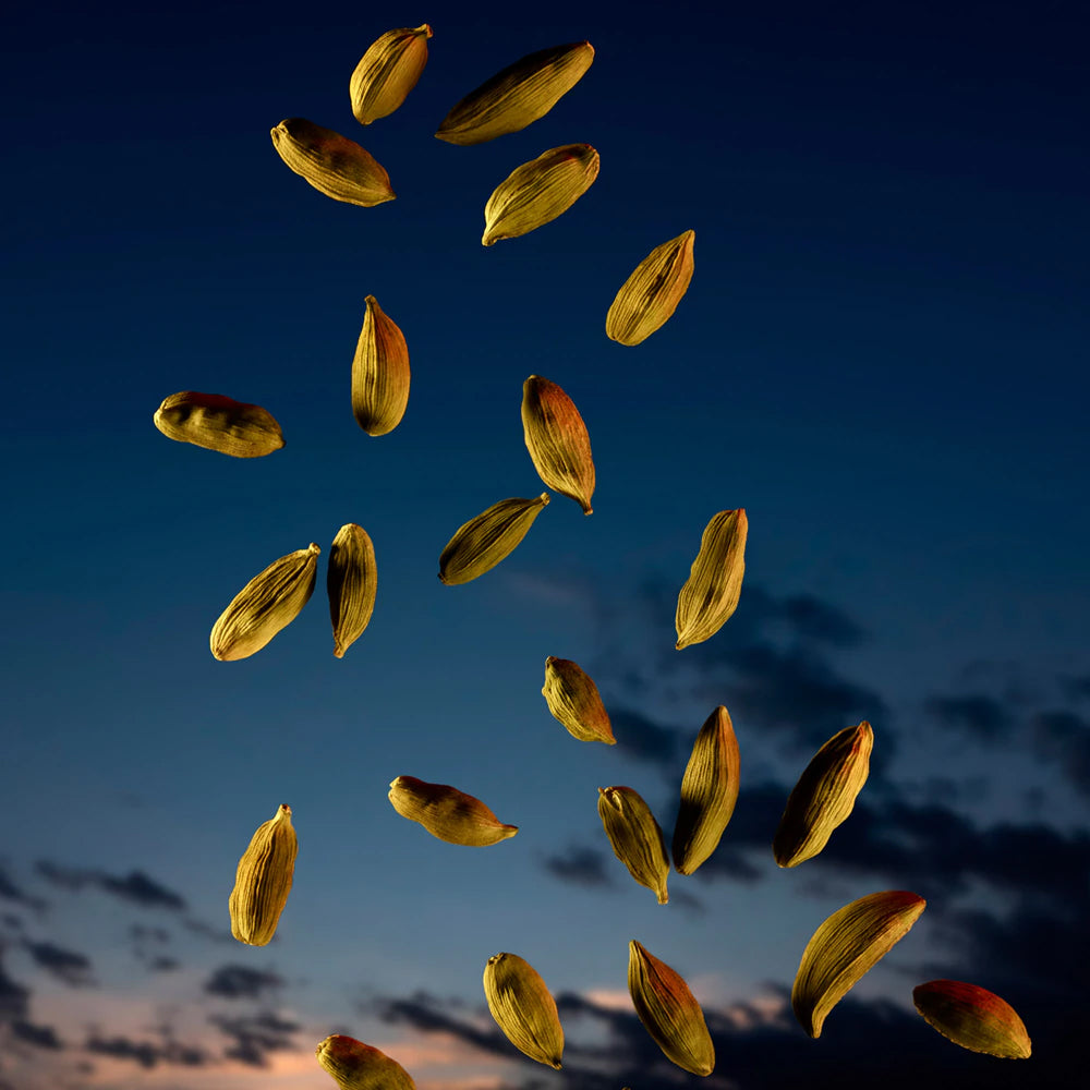 The Most Wanted Eau de Parfum Intense_3614273521307_Azzaro-3