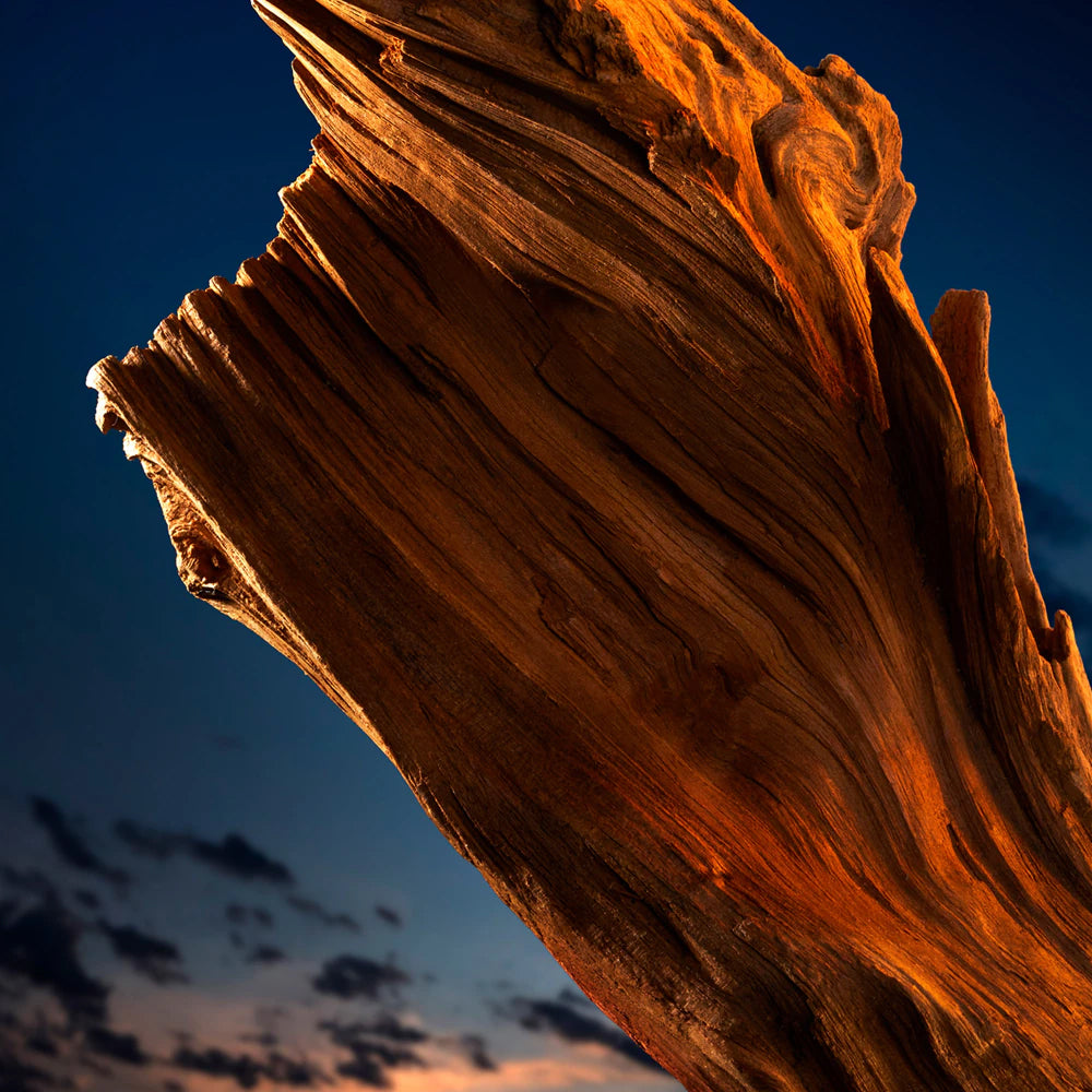 The Most Wanted Eau de Parfum Intense_3614273521307_Azzaro-4