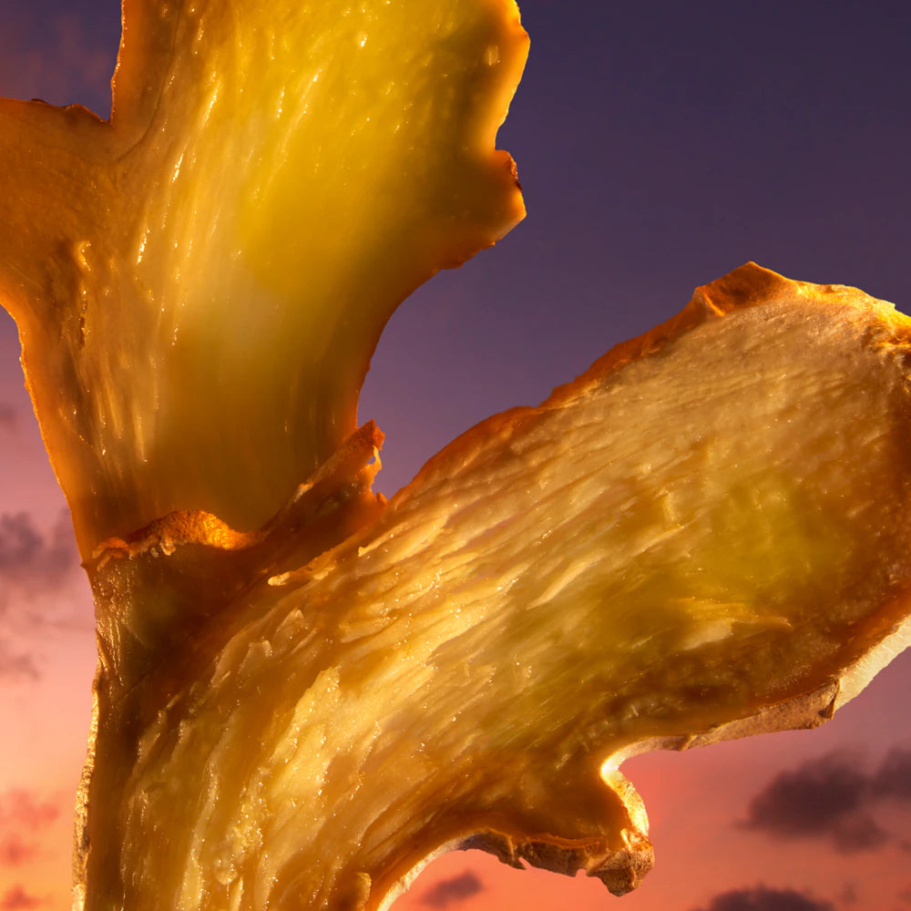 The Most Wanted Parfum_3614273638852_Azzaro-5